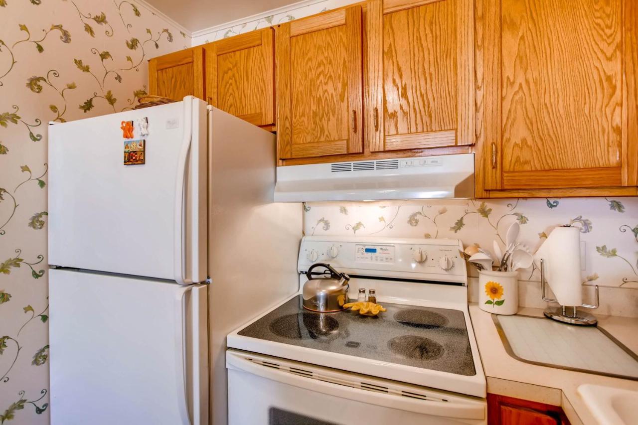 Ski-In Ski-Out Studio Private Balcony & Fireplace Condo 마운트크레스티드부트 외부 사진